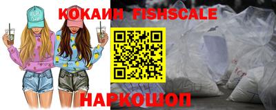 гидра Камышлов
