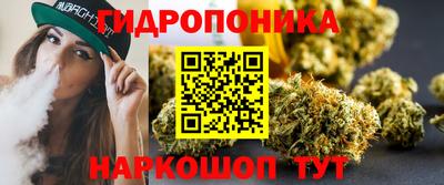 стафф Кандалакша