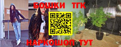 гидра Камышлов