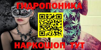 стафф Кандалакша