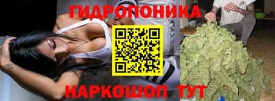 стафф Кандалакша