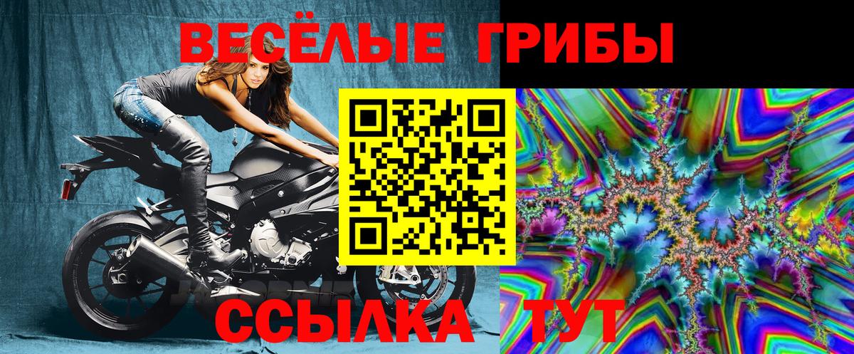 Псилоцибиновые грибы Psilocybine cubensis Щёлково